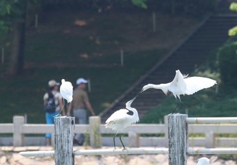 IMG_20160901_002036