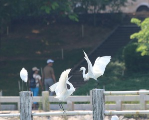 IMG_20160901_001935