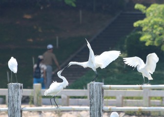 IMG_20160901_001854