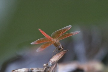 1B9A6695