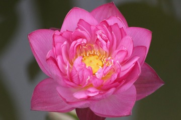 1B9A6507