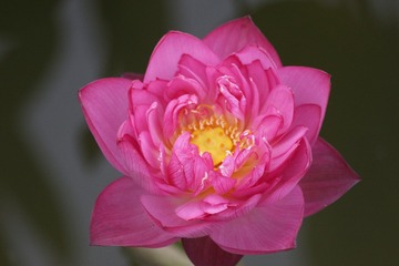 1B9A6532