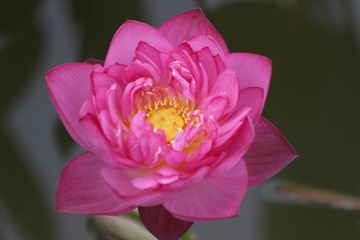 1B9A6517