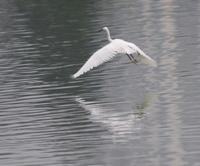 IMG_20160908_144610