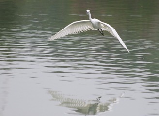 IMG_20160908_144538