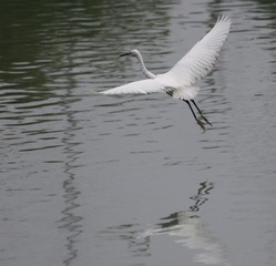 IMG_20160908_144629