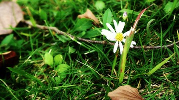 SAM_0828