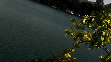 SAM_0699