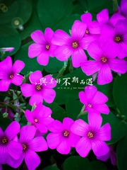 DA7174FF-57C1-4ADE-A18C-2BF6F024FA37/L0/001