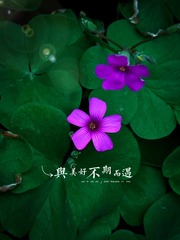 6792B0C2-3463-40F3-95E2-6372F6F4355A/L0/001