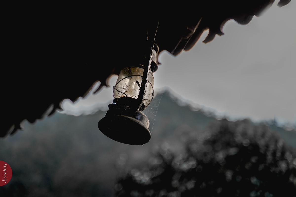 《残烛》锈斑 蜘蛛网 人类