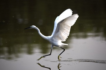 356165