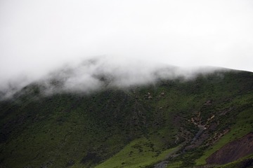 991260