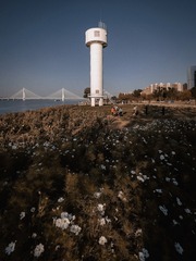 D5B3B41E-0378-44F6-871A-3FE27C675E1D/L0/001