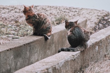 001