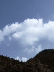 6143C840-B9EE-42F8-8B11-DFF6842B8C84/L0/001