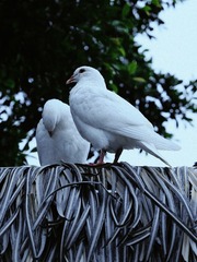 DD600E5B-DE42-49BF-B815-8C0C01E8C9F0/L0/001
