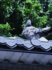 58F8D6DA-BE41-406C-9B77-737F2F2598CE/L0/001