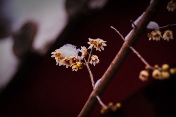 5700A1C7-AE11-477E-860B-8B9FEF9FE0CB/L0/001