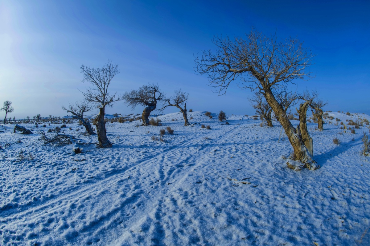 大雪封山