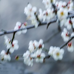 B1128D8F-0013-48C0-A98F-8708F6BAF6E8/L0/001