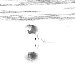 8174A70C-38A4-47DA-B782-5440624969D6/L0/001