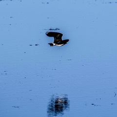 001