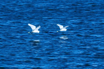 12044818-2A6C-4B2A-9103-9FA2E38B12C2/L0/001