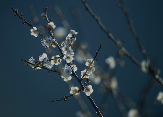 24235964-74DA-47ED-9FE6-23D59613B875/L0/001