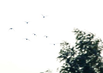 315ED70D-21E2-4D09-88D6-1A96DF8B7891/L0/001
