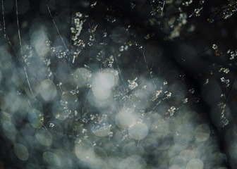 0583D7D0-18D4-426F-BD76-382C5ED0BB15/L0/001