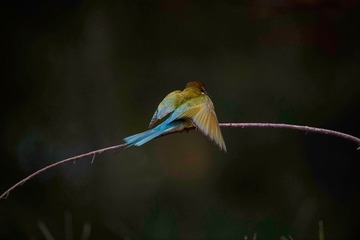 1960D663-595E-4240-9F2C-092A0F336DFB/L0/001