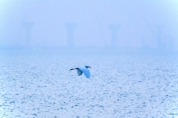 0B78A178-A3B4-4DFA-944D-056D0E4DACE1/L0/001