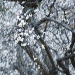 4EF7B0E5-8196-4C96-A3CC-623690974838/L0/001