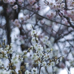 B45D7B41-C917-497B-A96E-FC9AC13074FE/L0/001