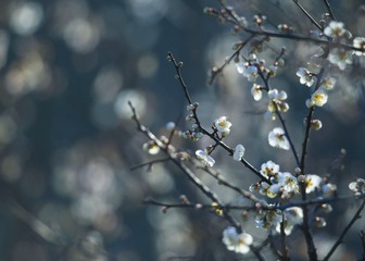 CA60CF6E-8123-4FBB-AC85-5E1C7163B96A/L0/001