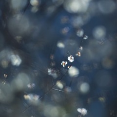 26E3996A-37A9-45E3-9C2D-D2F9DC93AB91/L0/001