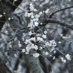 41D79AAF-B72E-4C45-A68C-93A45256647B/L0/001