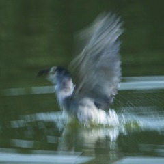 3C42E5D0-5DE3-4483-829F-1679CB1C8BBF/L0/001