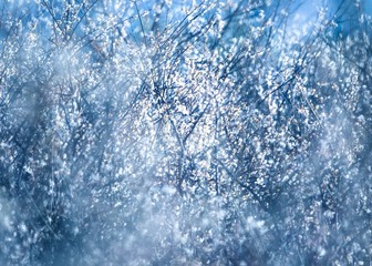 E75FD09C-6021-49A1-B080-E337ED4981FF/L0/001