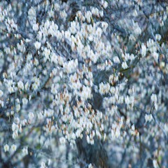 90C86ABE-9CE2-431A-9DBD-AB023B3193A9/L0/001