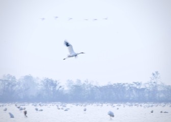 0D137992-A22A-44E2-9719-5683F3F578EC/L0/001