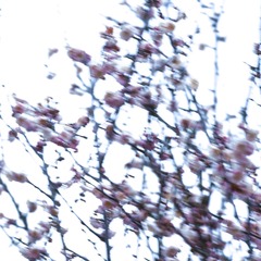 FC60603B-A380-44BC-A062-CF1B207D898C/L0/001