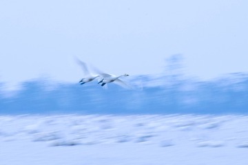 B378838C-AE27-4699-B052-46DA88CBC287/L0/001