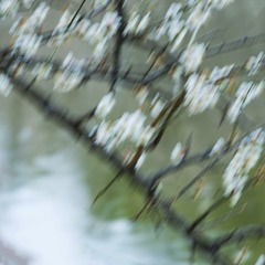 6290E996-32BE-4C07-94C7-5DF4FEED26AB/L0/001