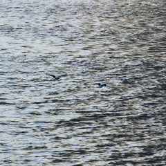 CC339616-FE2C-4E95-8D13-B87F61E8C190/L0/001