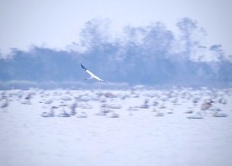 6087D87B-FEC1-4C42-8F41-8C1CADDCB13F/L0/001