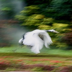 366F7FCD-BAEF-46CC-A50D-9D95D3982748/L0/001