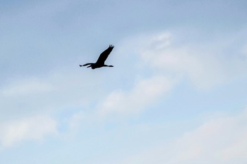 1C44E4D4-27F3-40F4-9EC6-E57C10A80637/L0/001