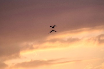 8129593C-92BE-4D37-B1B4-5E65704D87A3/L0/001